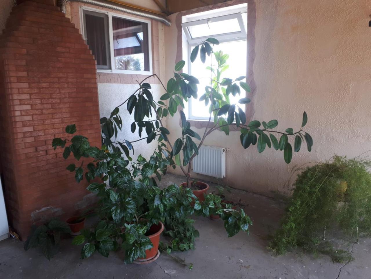 La Vitalie Guest House Кишинёв Экстерьер фото